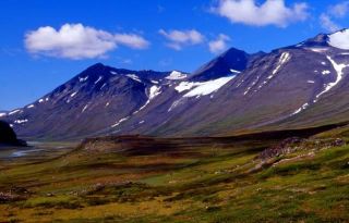 Sarek 1