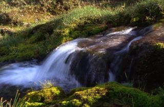 Bachlauf