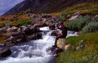 Bild sarek03