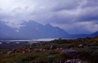 Bild sarek03