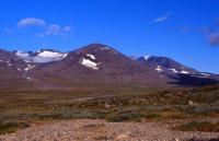 Bild sarek03