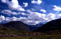 Bild sarek03