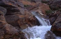 Bild sarek03