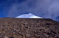 Bild sarek03