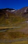 Bild sarek03
